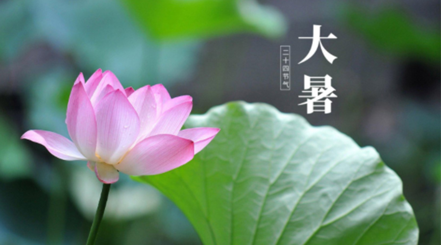 大暑時(shí)節(jié)！金環(huán)電器提醒大家注意這些干衣細(xì)節(jié)