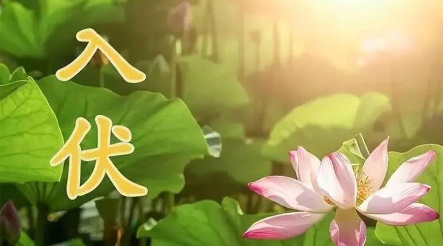 入伏天來襲！金環(huán)電器提醒大家要注意的事項