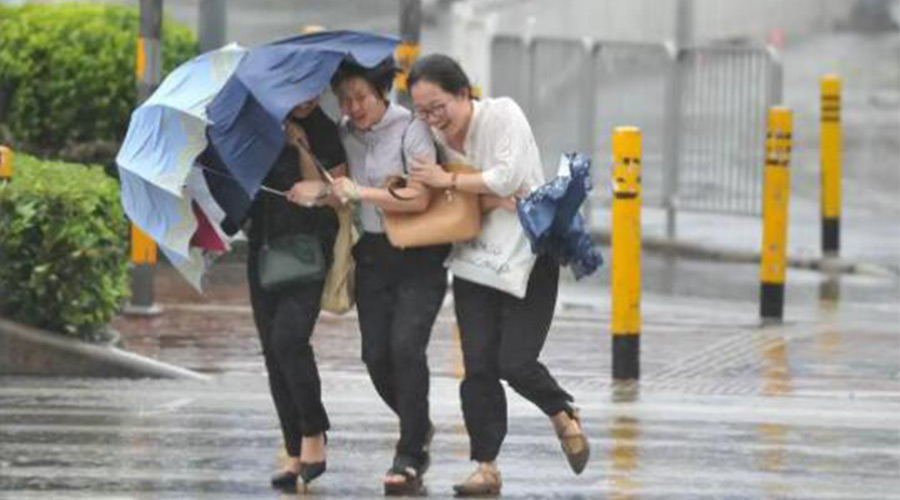 家有衣物烘干機(jī)，無(wú)懼臺(tái)風(fēng)天吹走和淋濕衣物！