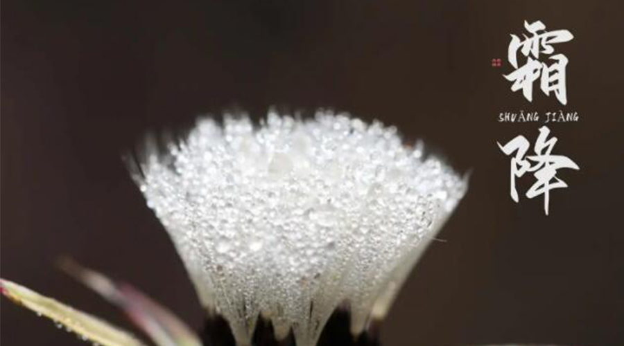 霜降時(shí)節(jié)！金環(huán)電器提醒大家要注意的事項(xiàng)