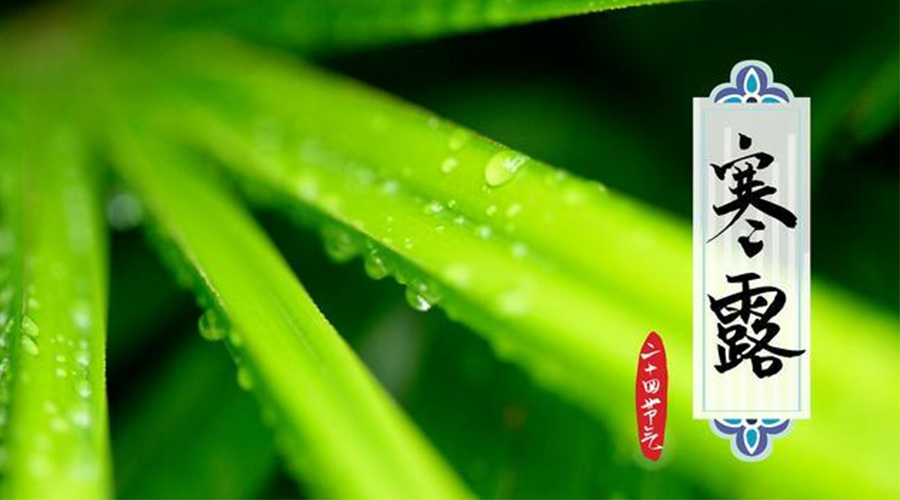 寒露時(shí)節(jié)到！金環(huán)電器提醒這些干衣事項(xiàng)要注意