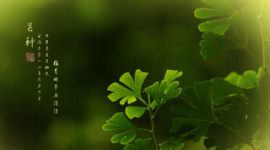 芒種時(shí)節(jié)！金環(huán)電器提醒大家的注意事項(xiàng)