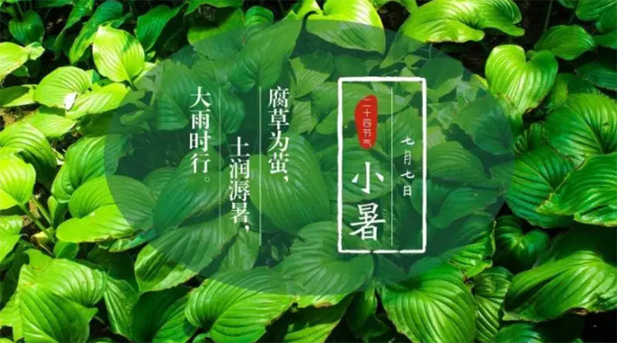 小暑時節(jié)來到！金環(huán)電器提醒大家要注意的事項