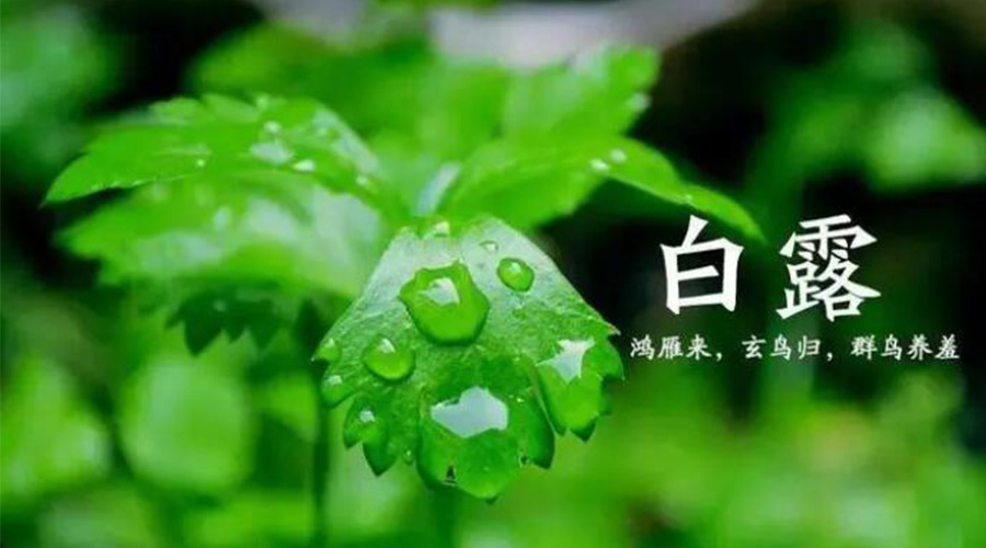 白露時(shí)節(jié)！金環(huán)電器提醒大家要注意的事項(xiàng)