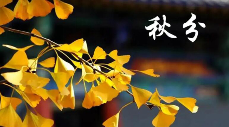 秋分時節(jié)！金環(huán)電器提醒大家要注意的事項