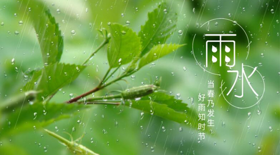 雨水時(shí)節(jié)！金環(huán)電器提醒大家要注意的事項(xiàng)